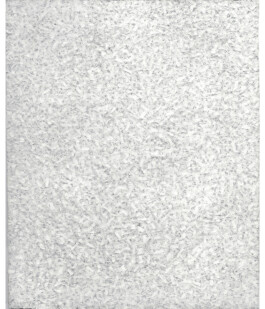 1990-241x196-Muséedesbeauxartsderennes 